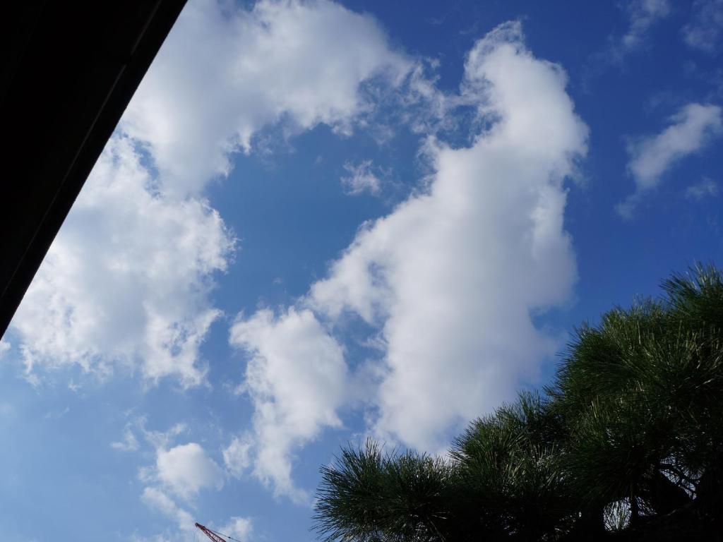Guesthouse Itoya Kyoto Ngoại thất bức ảnh