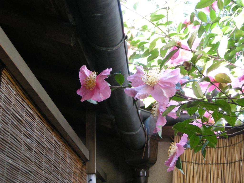 Guesthouse Itoya Kyoto Ngoại thất bức ảnh